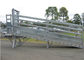6 Meter-deluxer Vieh-Laden-Rampen-leicht Bau CER Standard