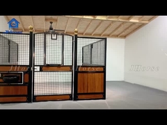 Wasserdichtes Pferd, stabil, ultimativer Schutz für die Reitwelt