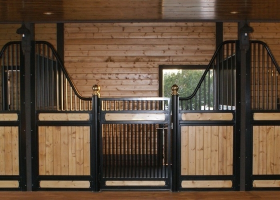 Langlebiges JH-Marken-Pferdestabile Kasten-Pferdestall-Front-Türen mit Bambusholz