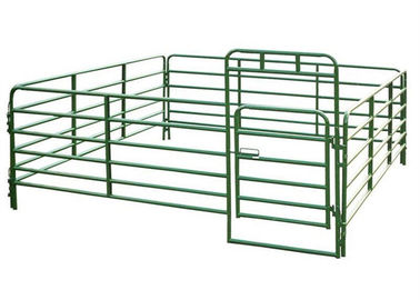 Rohr-Geländer-Vieh-Hürden-Platten, tragbare Hürden-Platten mit dem schwarzen Grün gemalt