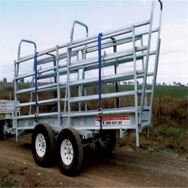 Australier galvanisierte Vieh-Laden-Rampe/die bewegliche Vieh-Laden-Rampen-einfache Installierung