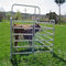 6 das Gerichts-Viehbestand-Vieh-Yard täfelt das Hochleistungsrohr, das Vieh-Tor schiebt