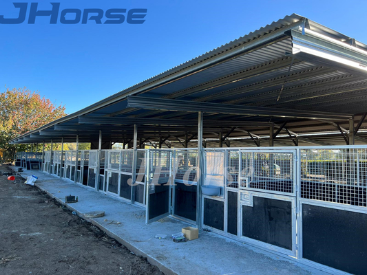 Stall-Baupläne Traum-Fitout großes des Struktur-Haus-Pferdestabile Kasten-2.2m